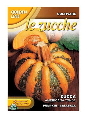 SEMENTI DI ZUCCA AMERICANA TONDA orto giardino semi seeds