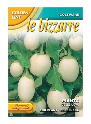 SEMENTI DI PIANTA DELLE UOVA melanzana orto giardino semi seeds