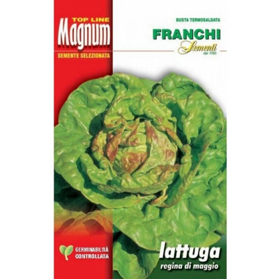 Semi Lattuga Regina Di Maggio Busta Magnum Franchi Sementi
