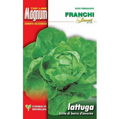 Semi Lattuga Testa Di Burro D'Inverno Busta Magnum Franchi Sementi