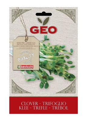 Semi Biologici Di Trifoglio Per Germogli 50Gr Semenzaio Sementi Seeds
