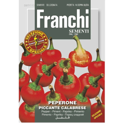 Semi Peperone Red Cherry Piccante Calabrese Doppia Busta Franchi Sementi precio