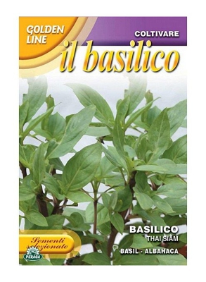 SEMENTI DI BASILICO THAI SIAM orto giardino semi seeds