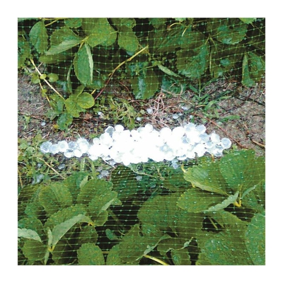 Verdelook - Tessuto antigrandine 2x20 metri