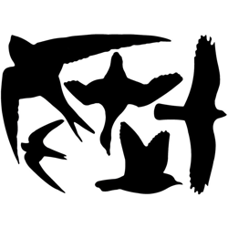 Set 5Pz Adesivi Uccellini Decorativi Per Finestra Accessori Decoro Casa Interni precio