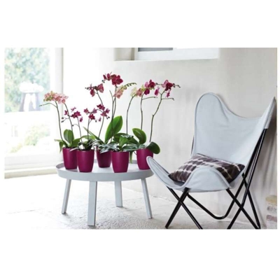 Elho Vaso Orchidee Brussels Orchid High 12,5Cm Soft Green