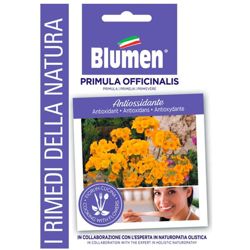 Semi Primula Officinalis Blumen precio