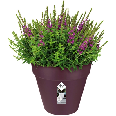 Elho Vaso Loft Urban Round 20Cm Viola