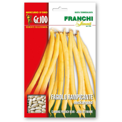 Semi Fagiolo Rampicante Neckargold Gr.100 Franchi Sementi características