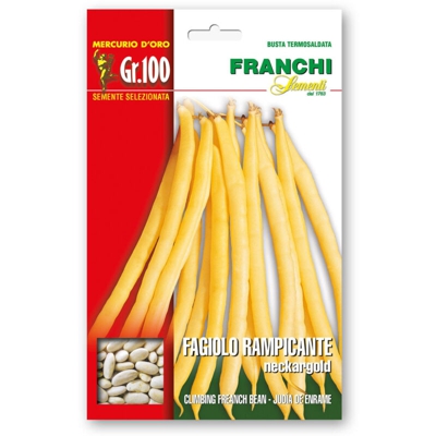 Semi Fagiolo Rampicante Neckargold Gr.100 Franchi Sementi