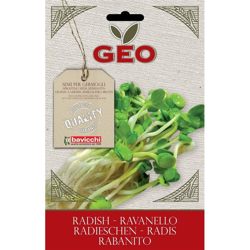 Semi Bio Di Ravanello Per Germogli 30Gr Semenzaio Sementi Seeds precio