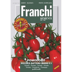 Bustina Semi Di Pomodoro Piccolo Dattero Ibrido F.1 Orto Giardino Semi características
