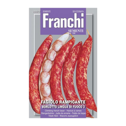 Scatola Semi Di Fagiolo Rampicante Borlotto Lingua Di Fuoco N.3 Orto Giardino Semi precio