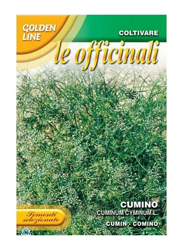 SEMENTI DI CUMINO orto officinali giardino semi seeds precio