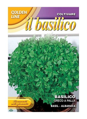 SEMENTI DI BASILICO GRECO A PALLA orto giardino semi seeds