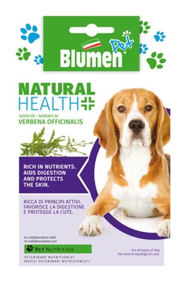 Semi Verbena - Cane Blumen