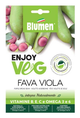 Semi Fava Grano Viola Enjoy Veg Blumen