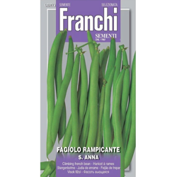 Semi Fagiolo Rampicante Sant'Anna Franchi Sementi precio