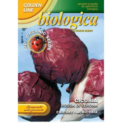 Semi Cicoria Rossa Di Verona Bio Franchi Sementi precio