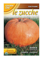 SEMENTI DI ZUCCA QUINTALE orto giardino semi seeds características