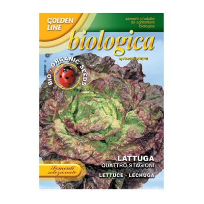 Semi Lattuga Quattro Stagioni Bio Franchi Sementi