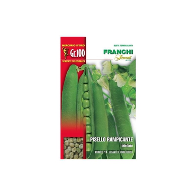 Semi Pisello Rampicante Telefono Gr.100 Franchi Sementi