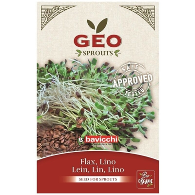 Semi Bio Di Lino Per Germogli 80Gr Semenzaio Sementi Seeds