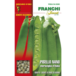 Semi Pisello Nano Meraviglia D'Italia Gr.100 Franchi Sementi características
