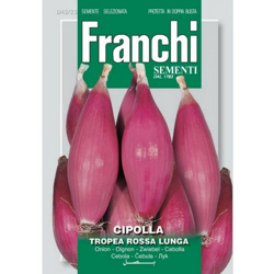 Semi Cipolla Tropea Rossa Lunga Doppia Busta Franchi Sementi características
