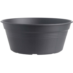 Vaso Per Bulbi Green Basics Bowl 38Cm Living Black Elho precio