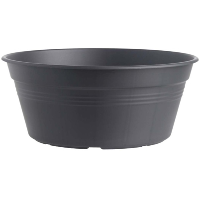 Vaso Per Bulbi Green Basics Bowl 38Cm Living Black Elho