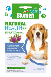 Semi Cardo Mariano - Cane Blumen características