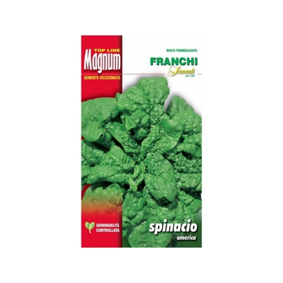 Semi Spinacio America Busta Magnum Franchi