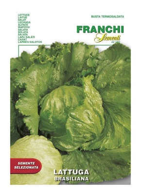 Semi Lattuga Brasiliana Busta Magnum Franchi Sementi
