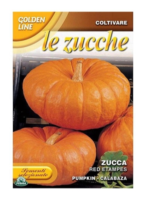 SEMENTI DI ZUCCA RED ETAMPES orto giardino semi