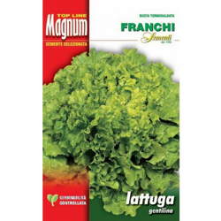 Semi Lattuga Gentilina Busta Magnum Franchi Sementi características