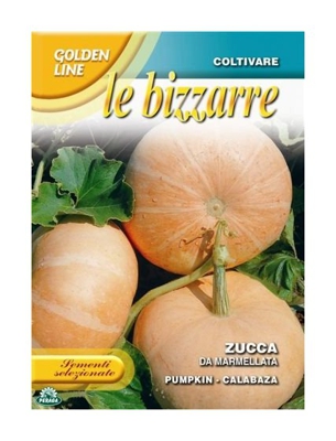 SEMENTI DI ZUCCA DA MARMELLATA orto giardino semi seeds