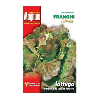 Busta Magnum Semi Di Lattuga Canasta Orto Giardino Semi