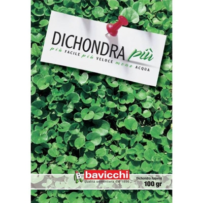 Semi Per Prato Di Dichondra Repens Piu' 100Gr