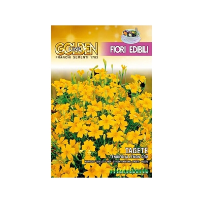 Semi Tagete Tenuifolia Lemon Edibile Franchi Sementi