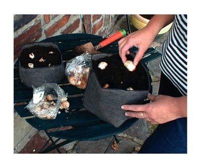 5 Vasi Pieghevoli 3-4 Litri Plantbag Per Piante Fiori Gerani Giardino Orto