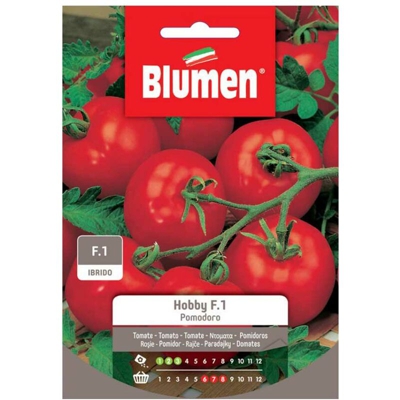 Semi Pomodoro Hobby F1 Blumen Sementi Orto