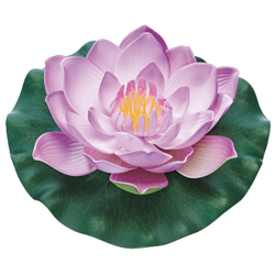 Pianta Da Laghetto Artificiale Pondolily Viola Oase Accessori Laghetto características