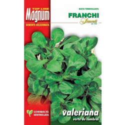 Semi Valeriana Verte De Cambrai Busta Magnum Franchi Sementi precio