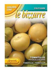 SEMENTI DI PHYSALIS IXOCARPA TOMATILLO orto giardino semi seeds en oferta