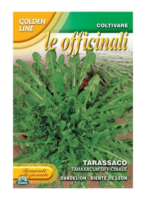 SEMENTI DI TARASSACO OFFICINALE dente di leone orto giardino semi seeds
