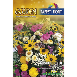 Semi Set Fiori D'Estate Miscuglio Di Sementi Franchi Sementi características