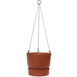 Elho Vaso Greenville Hanging Basket 24Cm Marrone características