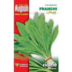 Semi Cicoria Spadona Busta Magnum Franchi Sementi precio