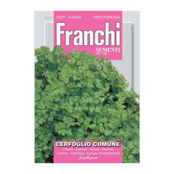 Bustina Semi Di Cerfoglio Comune Orto Giardino Semi características
